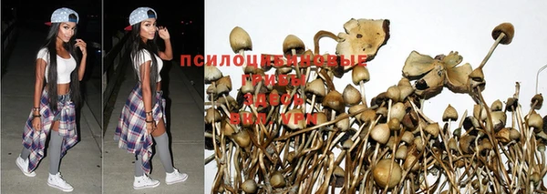 дмт Баксан