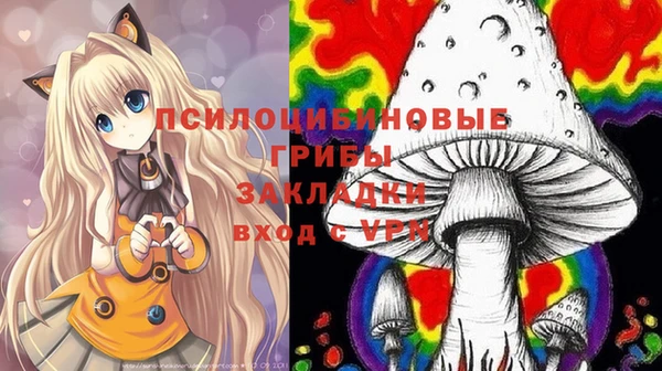 дмт Баксан