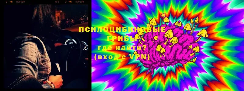 Галлюциногенные грибы Magic Shrooms  Верещагино 