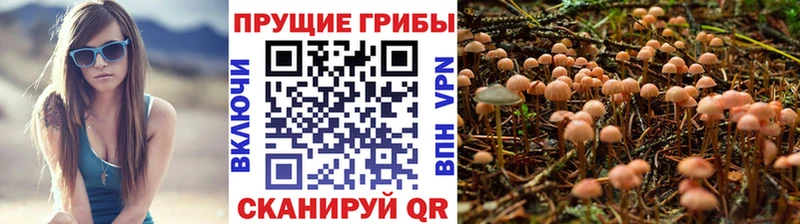 Галлюциногенные грибы Psilocybine cubensis  MEGA tor  Верещагино 