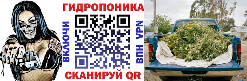 где купить наркотик  гидра как войти  Конопля VHQ  Верещагино 